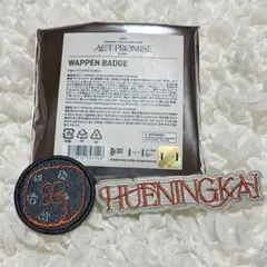 txt ACT:PROMISE ヒュニンカイ ワッペンバッジ セット