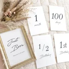 Item thumbnail for item 09a8da11-279d-40ba-9648-d10fc5ba7df9