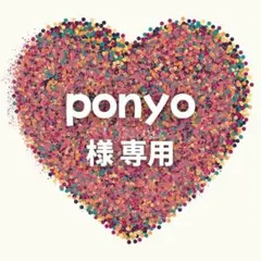 ponyo様　専用ページ　10セット