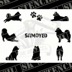 스텐실 시트 DS-5 Samoyed