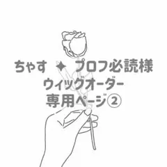 ちゃす ✦ プロフ必読様 ウィッグオーダー専用ページ②