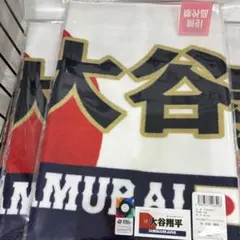 Item thumbnail for item b8b3fd58-3620-43ed-956c-71e164c28886