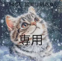 クロスステッチキット　雪に願いを(14CT、104色、図案印刷あり)