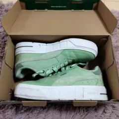 Item thumbnail for item 8de1191a-42c9-42c4-80f1-cc9762fed727