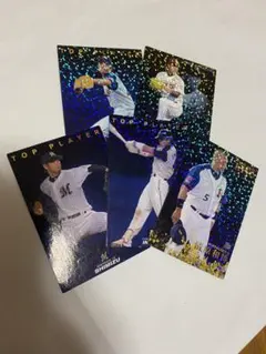 2009カルビープロ野球チップスカード