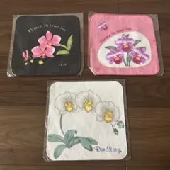 Item thumbnail for item 978860c1-2e5f-49ba-a9d7-a6c43999ae69