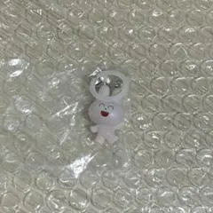 알면서도 코즈메지루시 악세사리 토끼네요