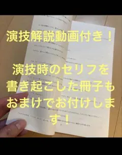 美品】毛皮のマリーズ 完全犯罪、或いはそれに似た 初回盤 ティパン