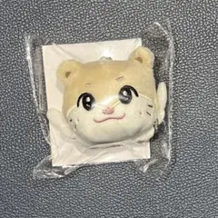 JYP JAPAN POPUP NEXZOO バッグチャーム ユウキ