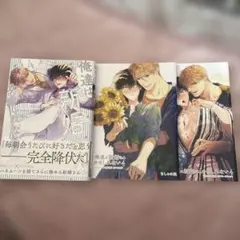 俺達は新婚さんかもしれない4 ちしゃの実