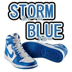 NIKE AirJordan MINIATURE STORM BLUE 青白