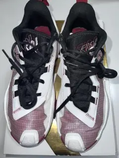 NIKE Jordan one take 4