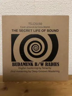 2026年最新】BudaMunk レコードの人気アイテム - メルカリ