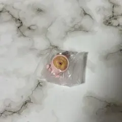 めじるしアクセサリー こびとづかん カクレモモジリ