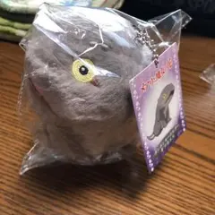 2025年最新】メアリと魔女の花 ギブガエルの人気アイテム - メルカリ