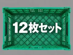 折りたたみコンテナ 12枚セット S.C.R. 615 S