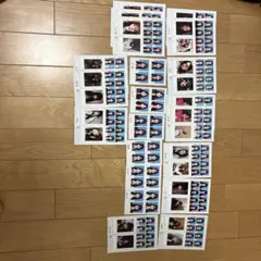 seju 証明写真