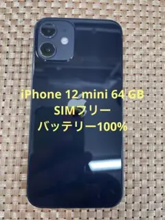 iPhone 12 mini 64 GB ブラックSIMフリー【8315】