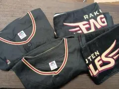 Item thumbnail for item b8b0a052-6a73-4384-a270-46982b26600b