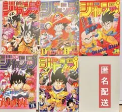 映画館用 非売品 ドラゴンボール エボリューション 特大バナー1 かなり