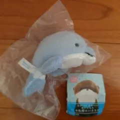 Item thumbnail for item 470ccc2d-b286-436a-8ce1-c9c1315b1e18