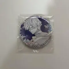 ウィンドブレーカー　缶バッジ