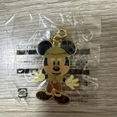 ディズニーランド　ジャングルカーニバル　ミッキー　ピンバッジ