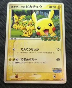 ポケモンカード ポケパークのピカチュウ プロモ