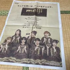 読売新聞　FRUITS ZIPPER