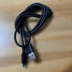 ジャンク品　Lightning to USB ケーブル ブラック