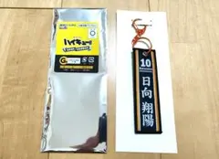 ハイキュー タイトーくじ G賞 フライトタグ 日向翔陽