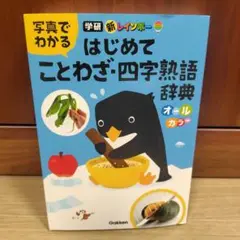 新レインボー 写真でわかる はじめてことわざ・四字熟語辞典(オールカラー)