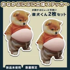 柴犬 おなかシール 2枚 もっちもち ぷにぷに 3D 立体 スクイーズ 韓国
