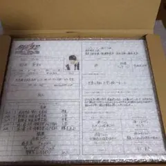 2025年最新】桜井景和 履歴書の人気アイテム - メルカリ