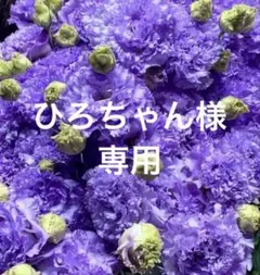 ひろちゃん様専用トルコキキョウ　ユーストマ生花　切花　花束