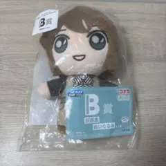 セガ ラッキーくじ 名探偵コナン 灰原哀 ぬいぐるみ