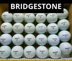 Item thumbnail for item 6f54744c-983b-4671-8197-28ff1b25fd13