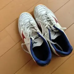Mizuno Monarcida Neo フットサルシューズ24.5