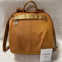 ✨極美品✨ カナナプロジェクト 2wayリュック PJ1 ACE A4対応