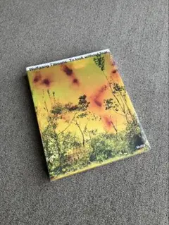 Wolfgang Tillmans: To Look Without Fear