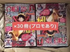 ONE PIECE CARD GAME 30冊セット