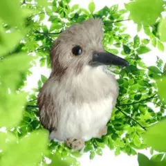 鳥　小鳥　野鳥　カワセミ　置き物　フィギュア