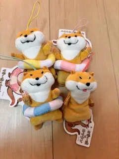 可愛い嘘のカワウソ　ぬいぐるみ　レア　まとめ売り 商品検索｜株式会社フクヤ│プライズ・アニメ・雑貨