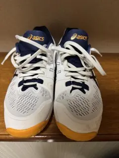 2026年最新】asics バレーボールシューズ オレンジの人気アイテム