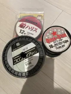 Item thumbnail for item 1c308d33-2574-48f0-afaf-b0fd51791808