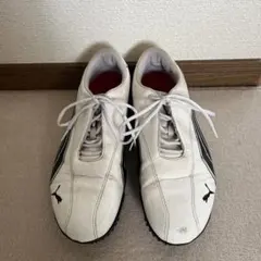 FootJoy PRO/SL ゴルフシューズ 26.0cm wide 2026年最新】メンズ ゴルフシューズ 27cmの人気アイテム - メルカリ