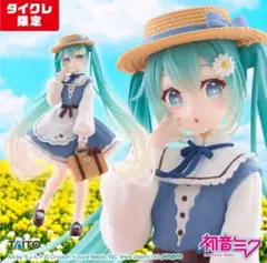 初音ミク Fashionフィギュア Country タイクレ限定