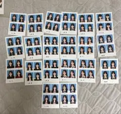 seju 証明写真風 バラ売り フォトカード セットこぞのいねねだけ売れて