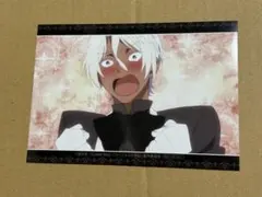 ヴァニタスの手記 アニメイト 特典 ブロマイド ノエ - メルカリ