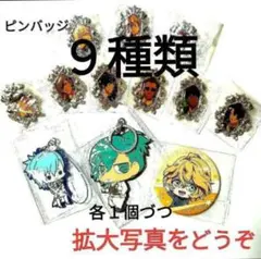 うたのプリンスさまっ♪ 缶バッチ ストラップ キーホルダー ピンバッジ